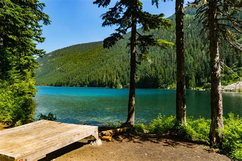 Hiking Coquitlam Lake Viewpoint in Coquitlam 